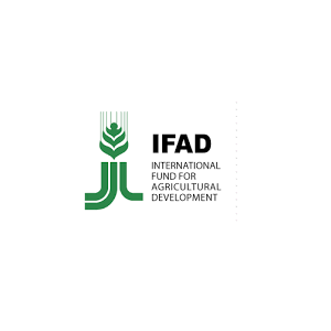FIDA